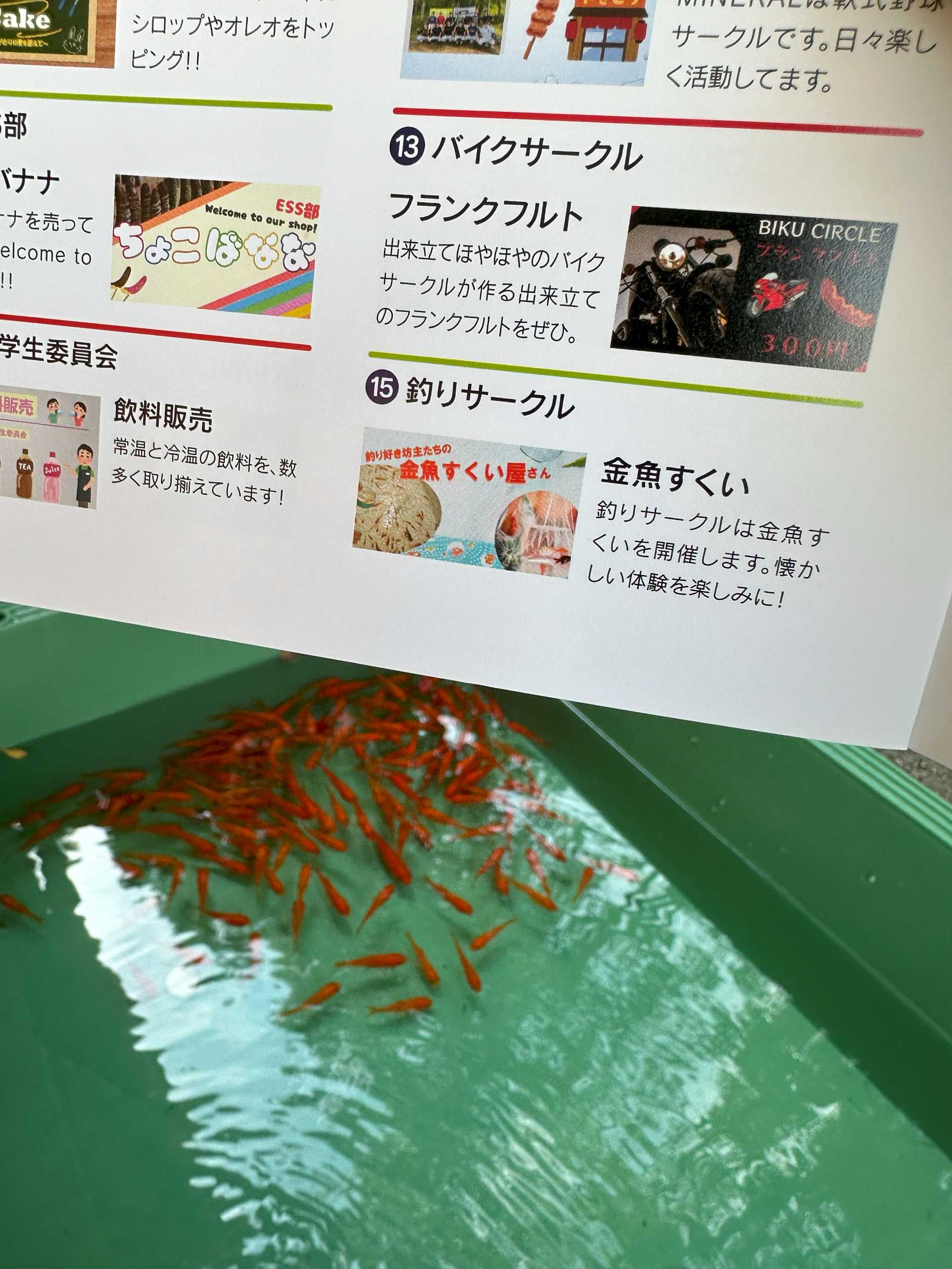 金魚すくいパンフレット